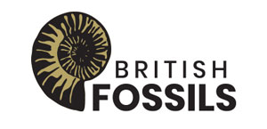 British Fossils